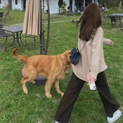 柏灵顿:熊熊去秘鲁